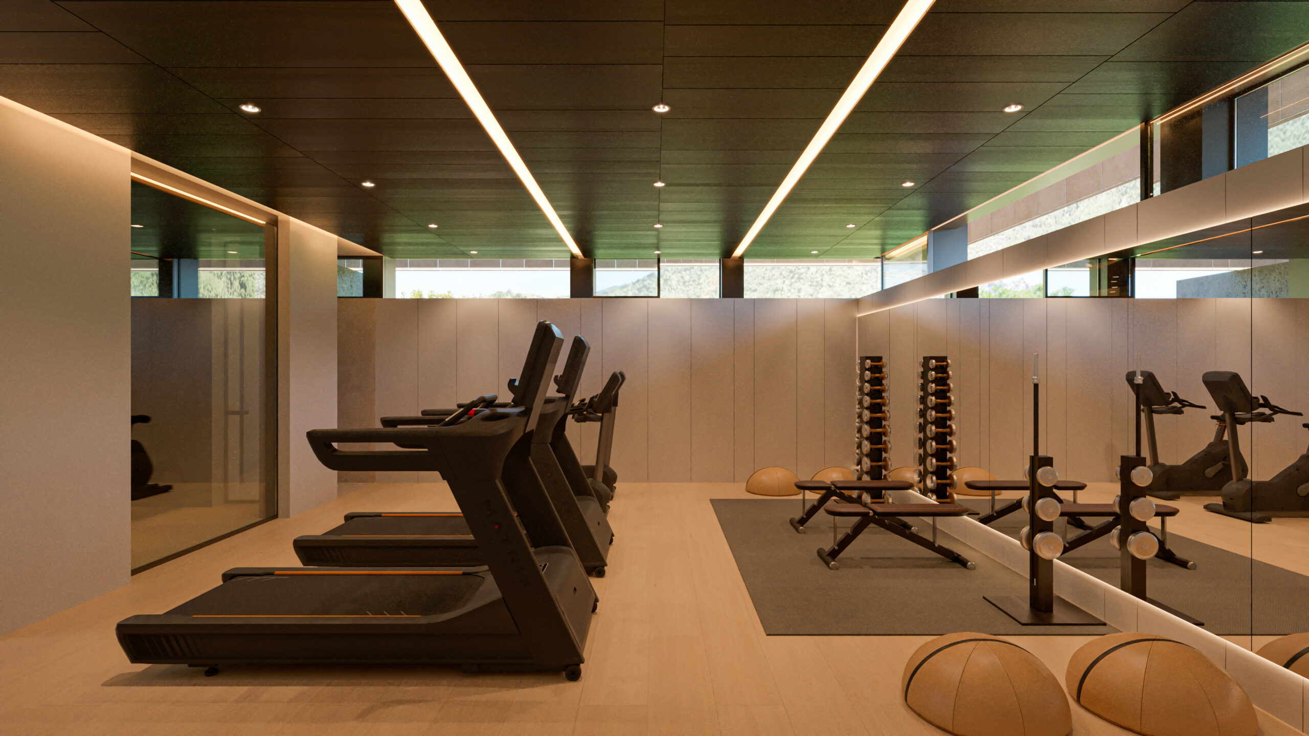 Gym
